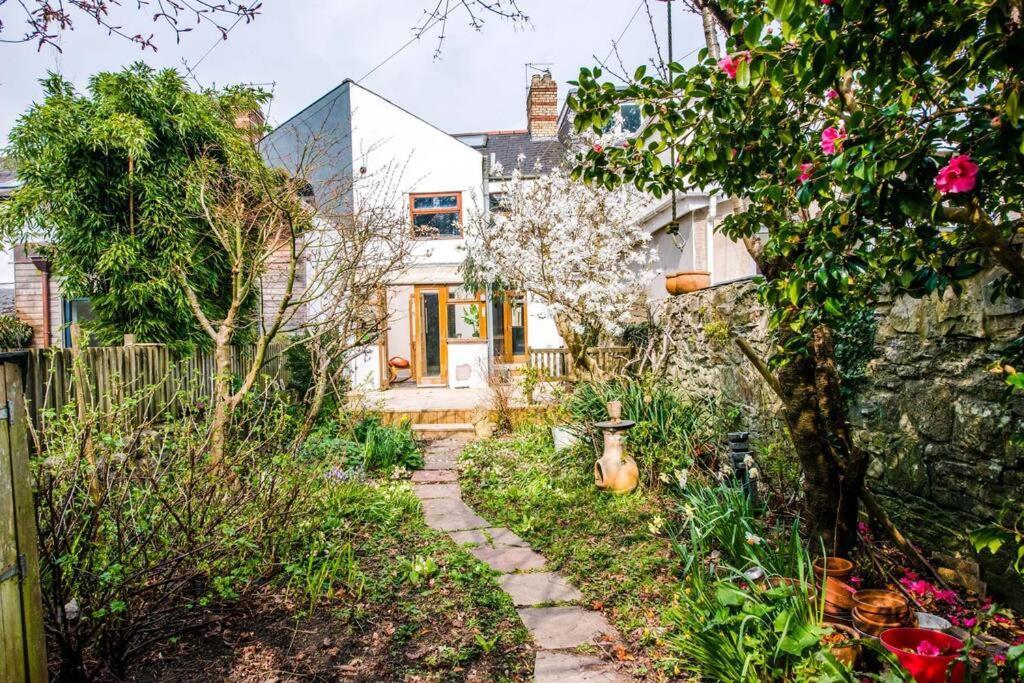 Gorgeous Victorian House Sleeps 6 In Cardiff Villa Eksteriør bilde